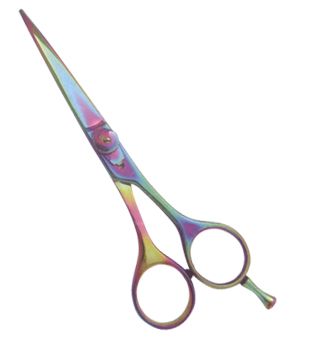 Professional Hair Cutting Scissors 